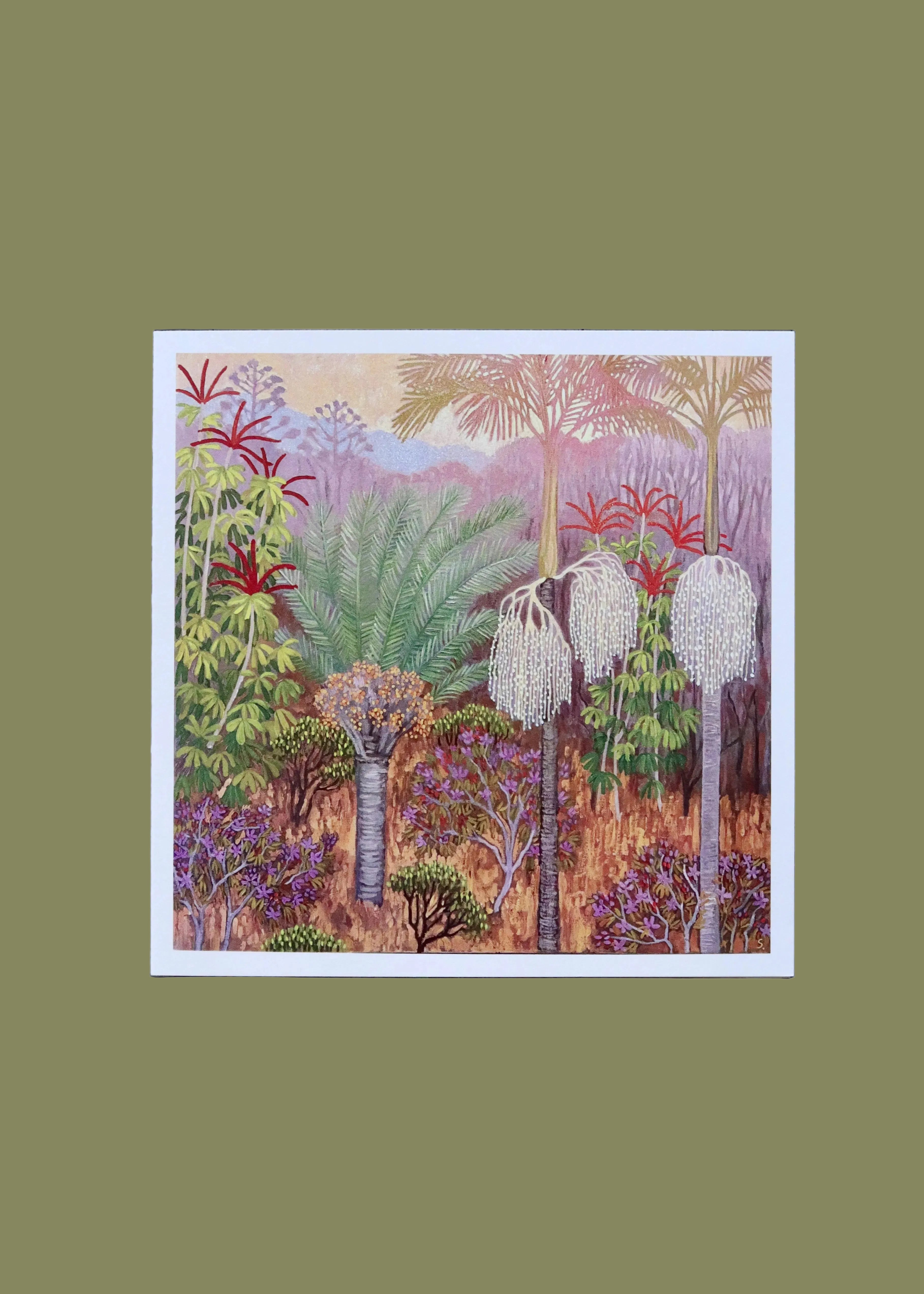 Canopy Northern Rivers Card