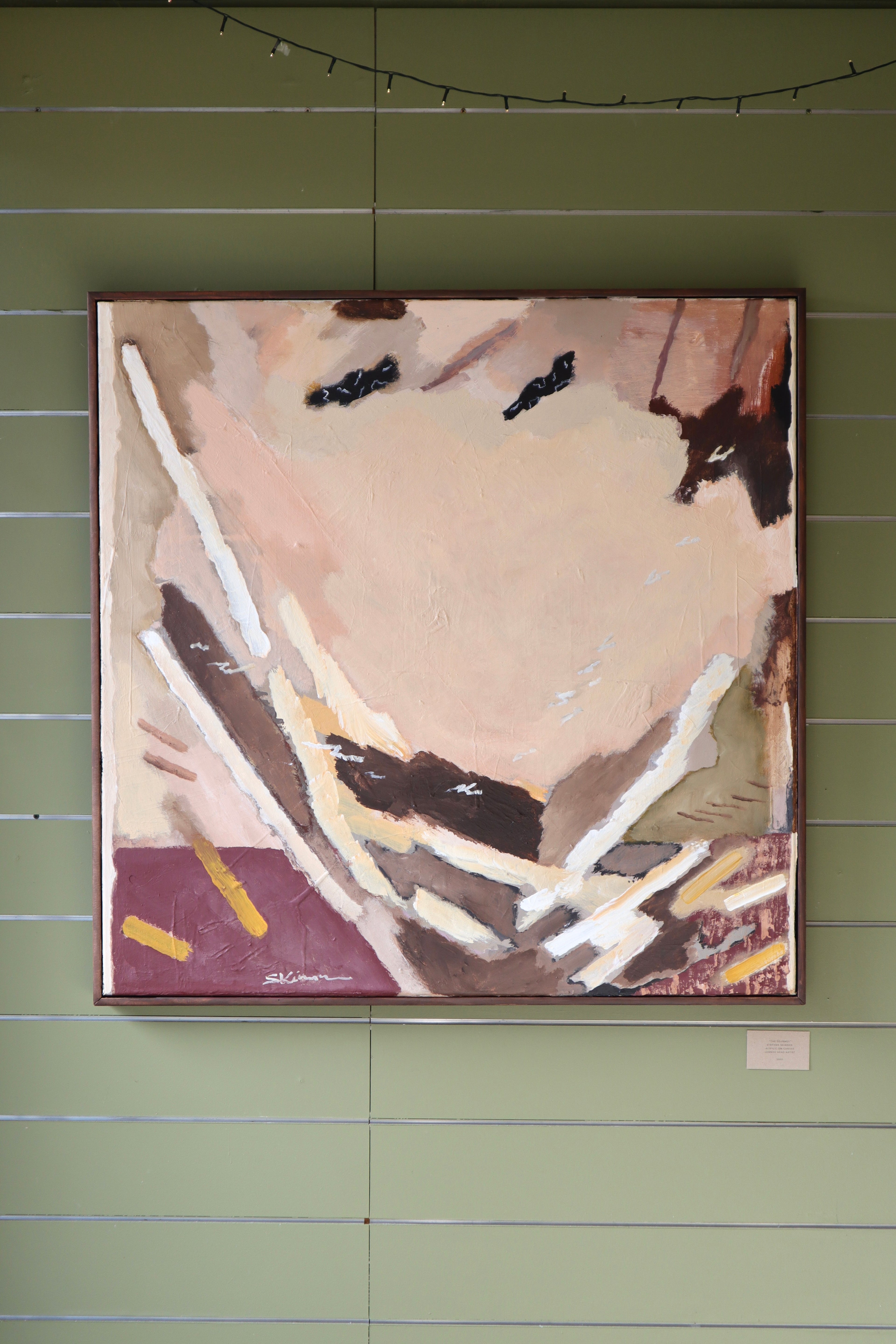 The Journey - Steve Skinner