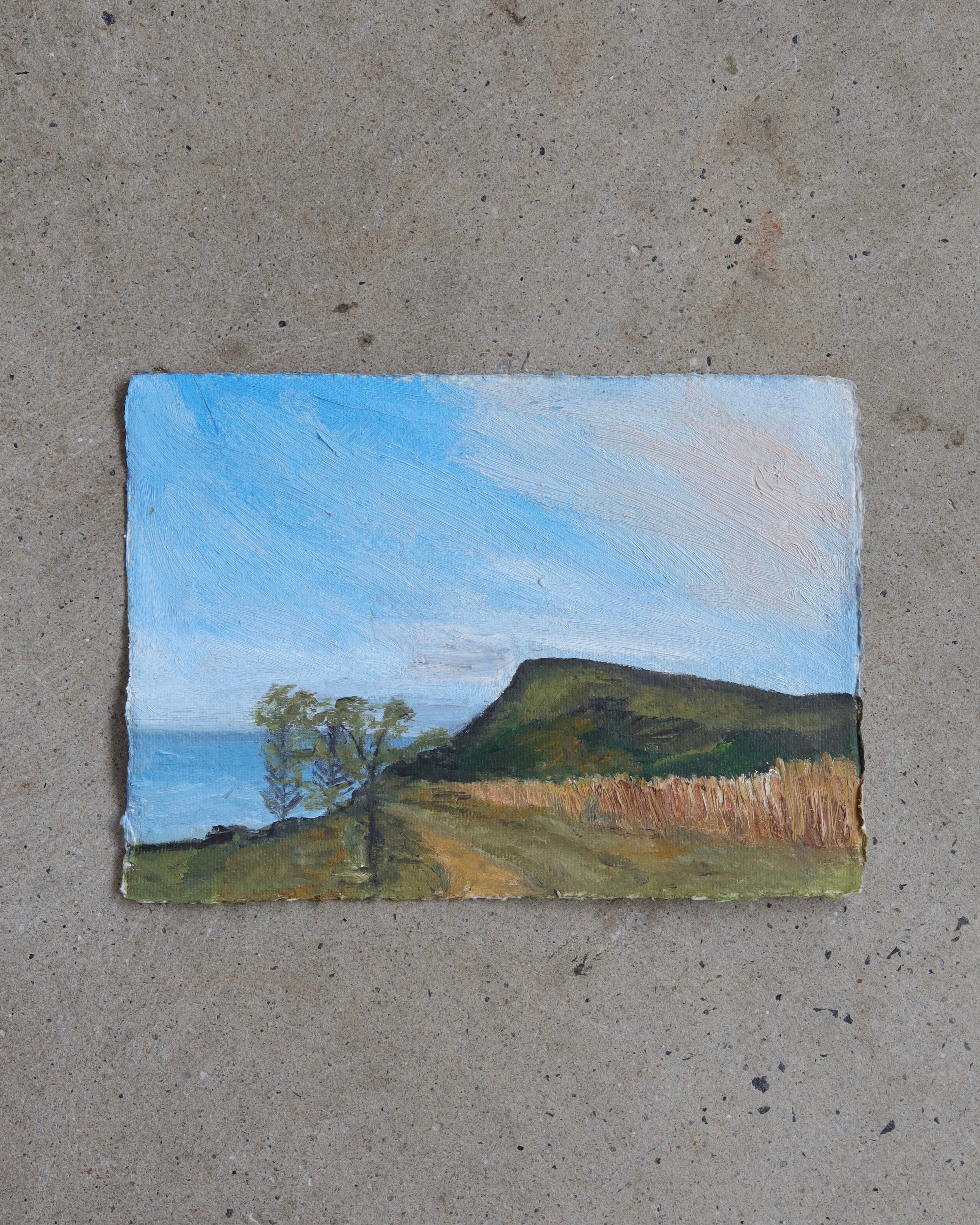 3 May 2026 (Unframed) - Jill Thompson