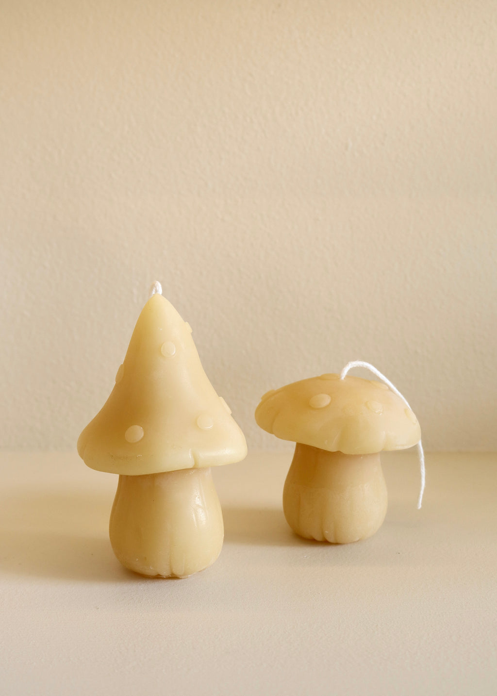 Forest Mushrooms Beeswax Candle