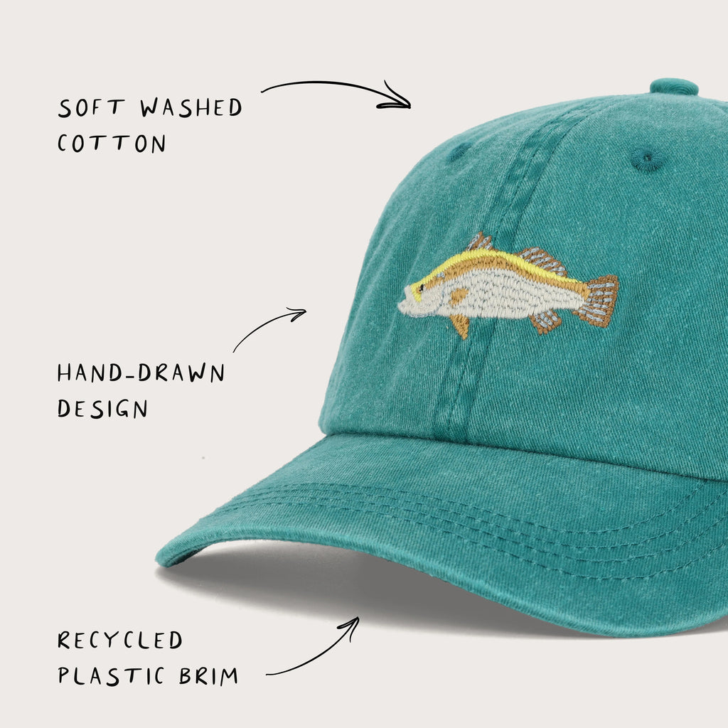 Barramundi Lid