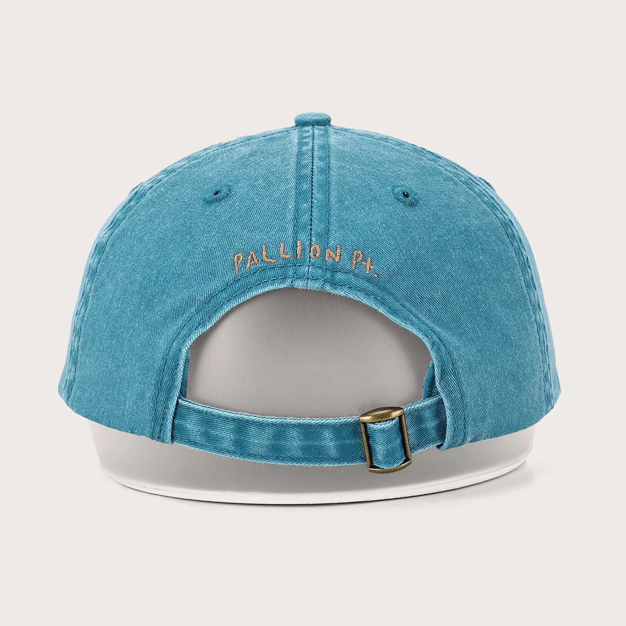 Turtle Lid