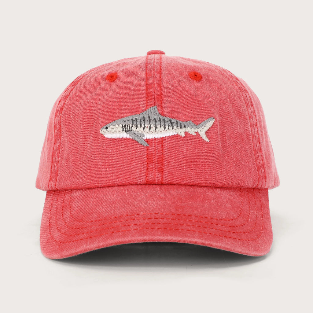 Tiger Shark