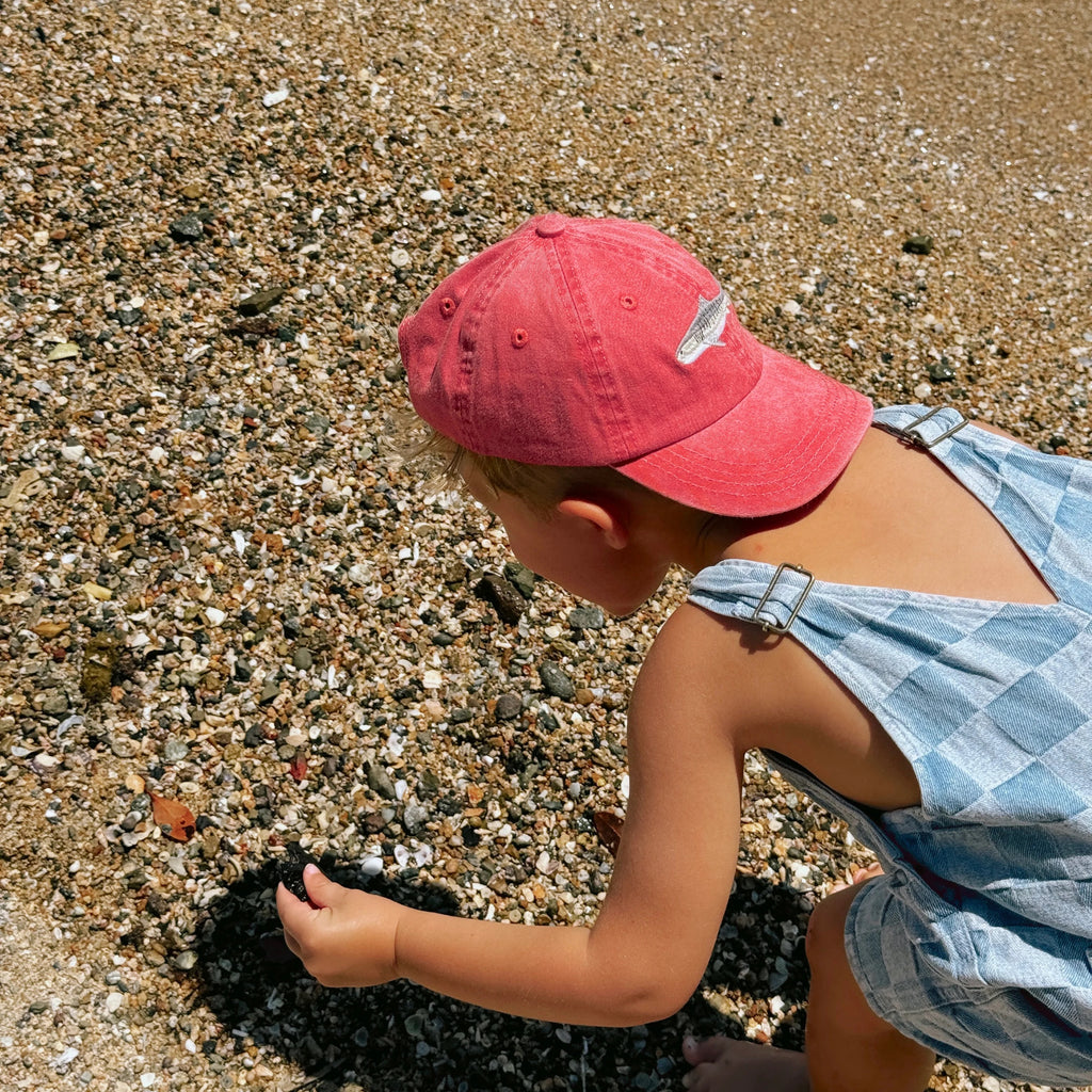 Tiger Shark Kids Lid