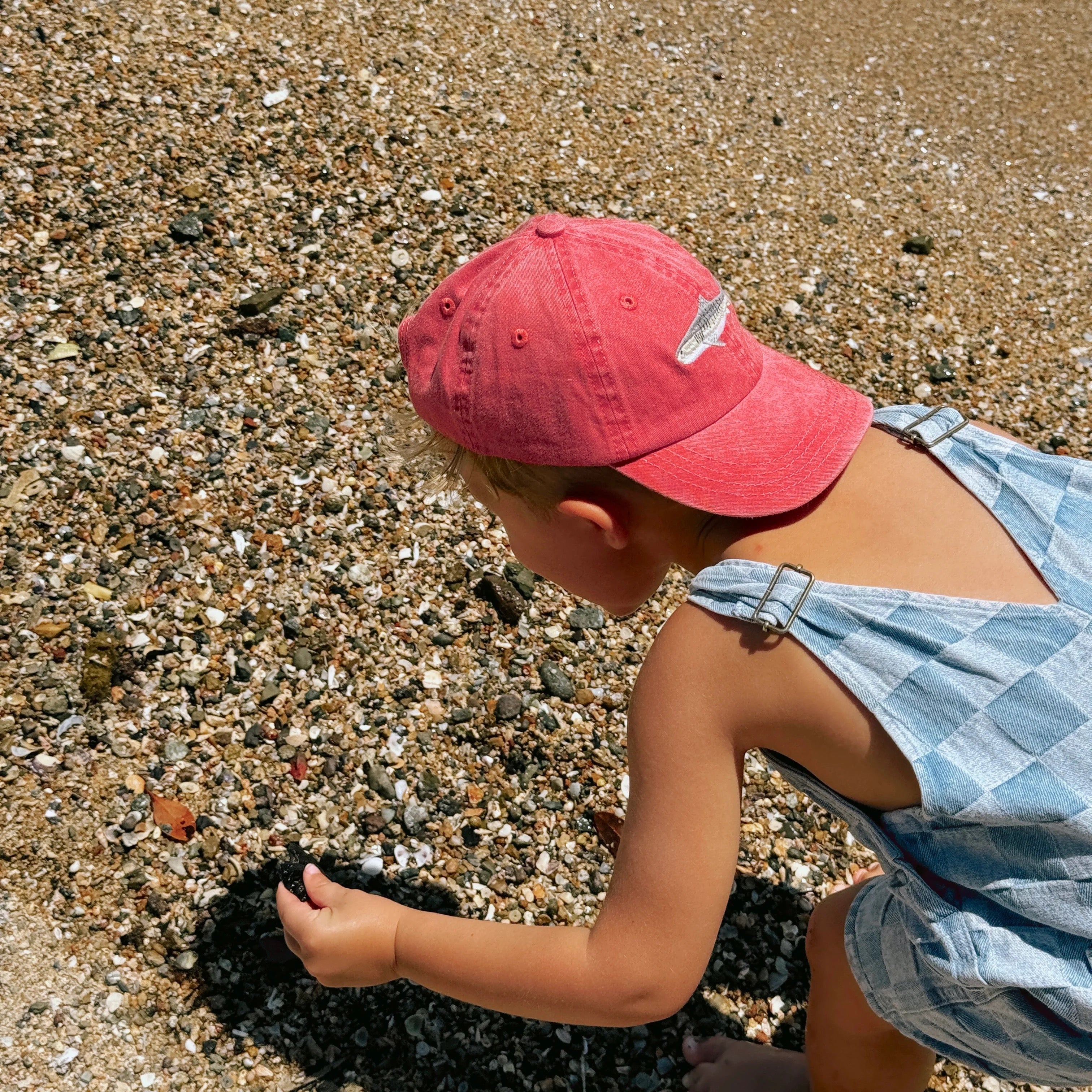 Tiger Shark Kids Lid
