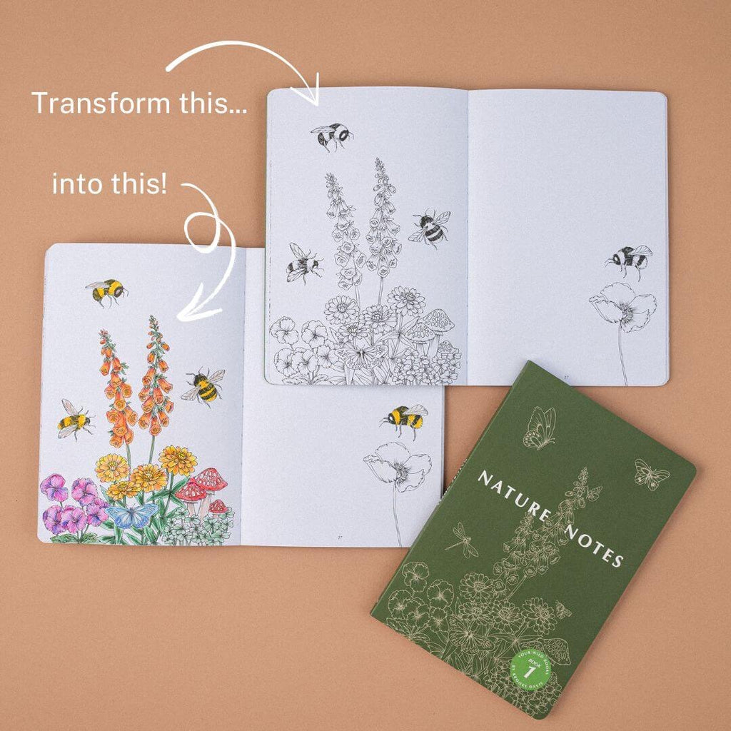 Nature Notes 1