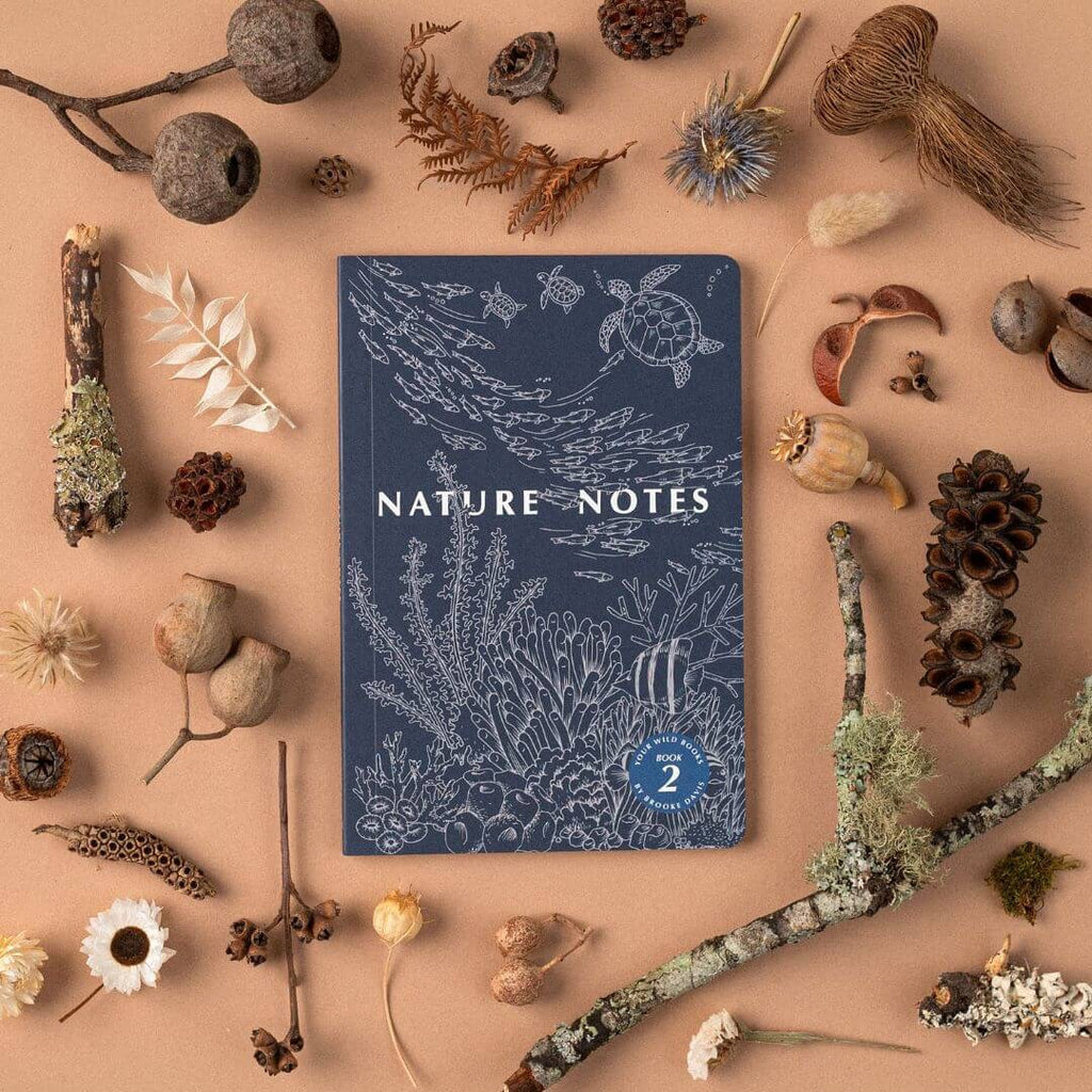Nature Notes 2