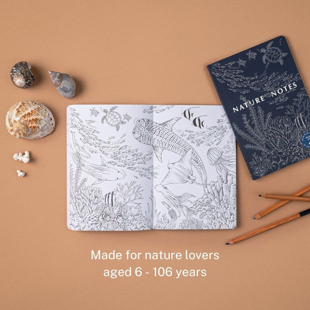 Nature Notes 2