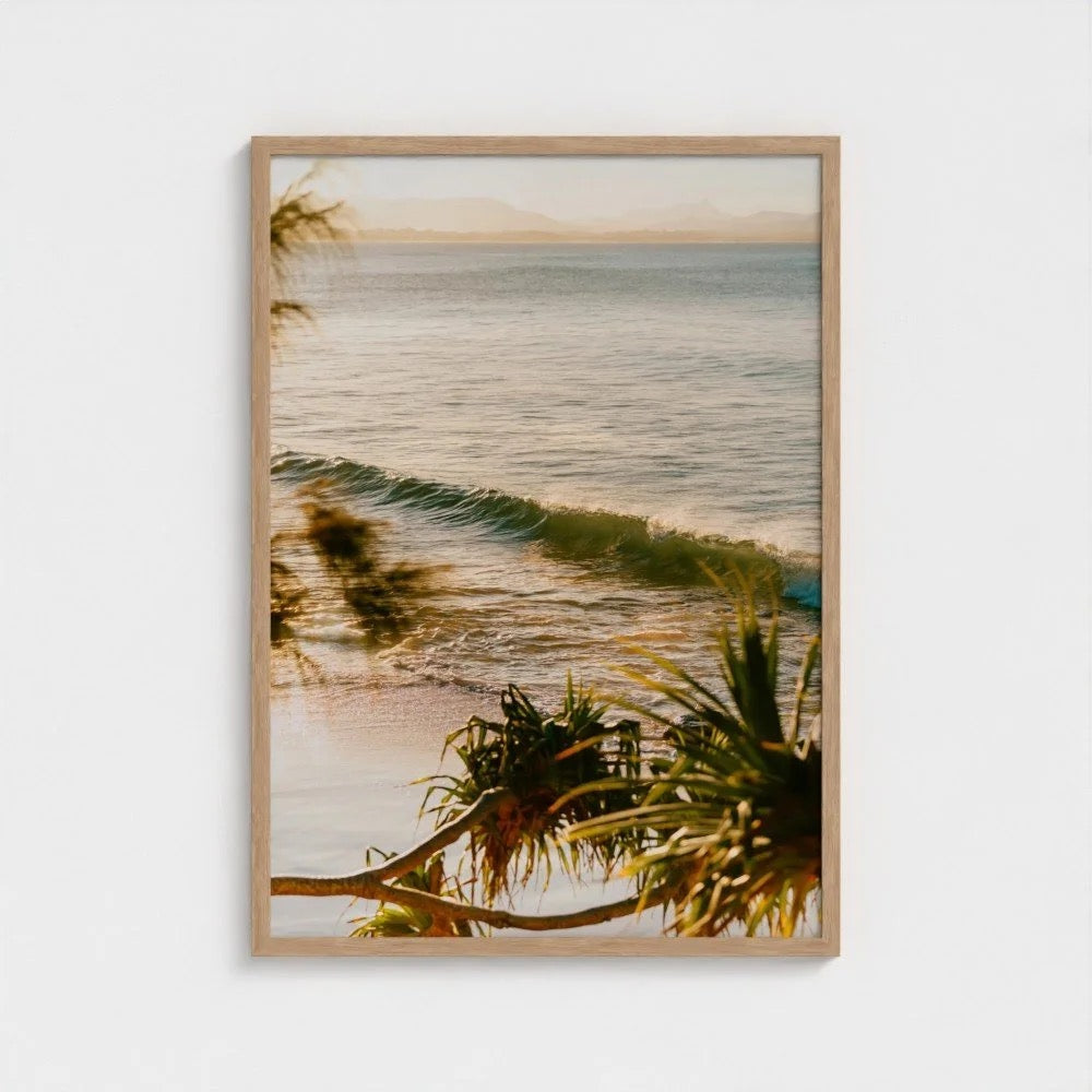 "Mellow Currents" - Ferro Studio