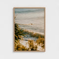 "Evening Swim" - Ferro Studio