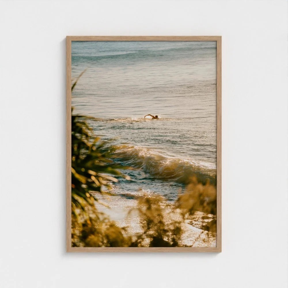 "Evening Swim" - Ferro Studio