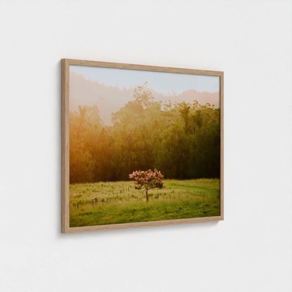 "Crepe Myrtle" - Ferro Studio