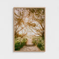 "Light Passage" - Ferro Studio
