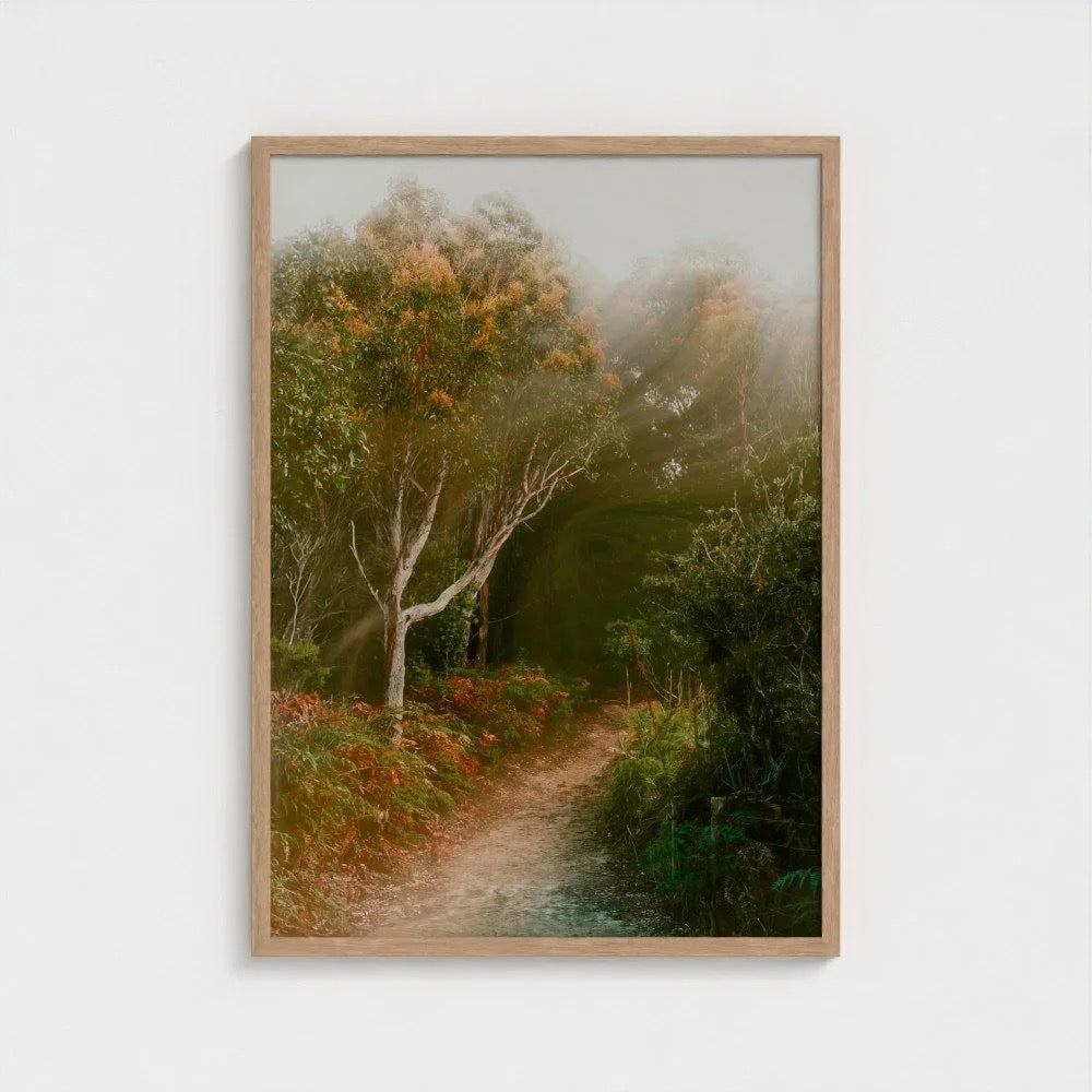 "The Quiet Path" - Ferro Studio