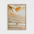 "Sunset Surf" - Ferro Studio
