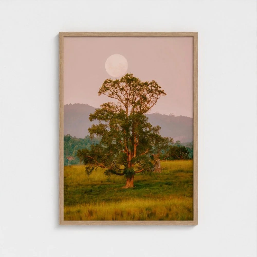 "La Luna" - Ferro Studio