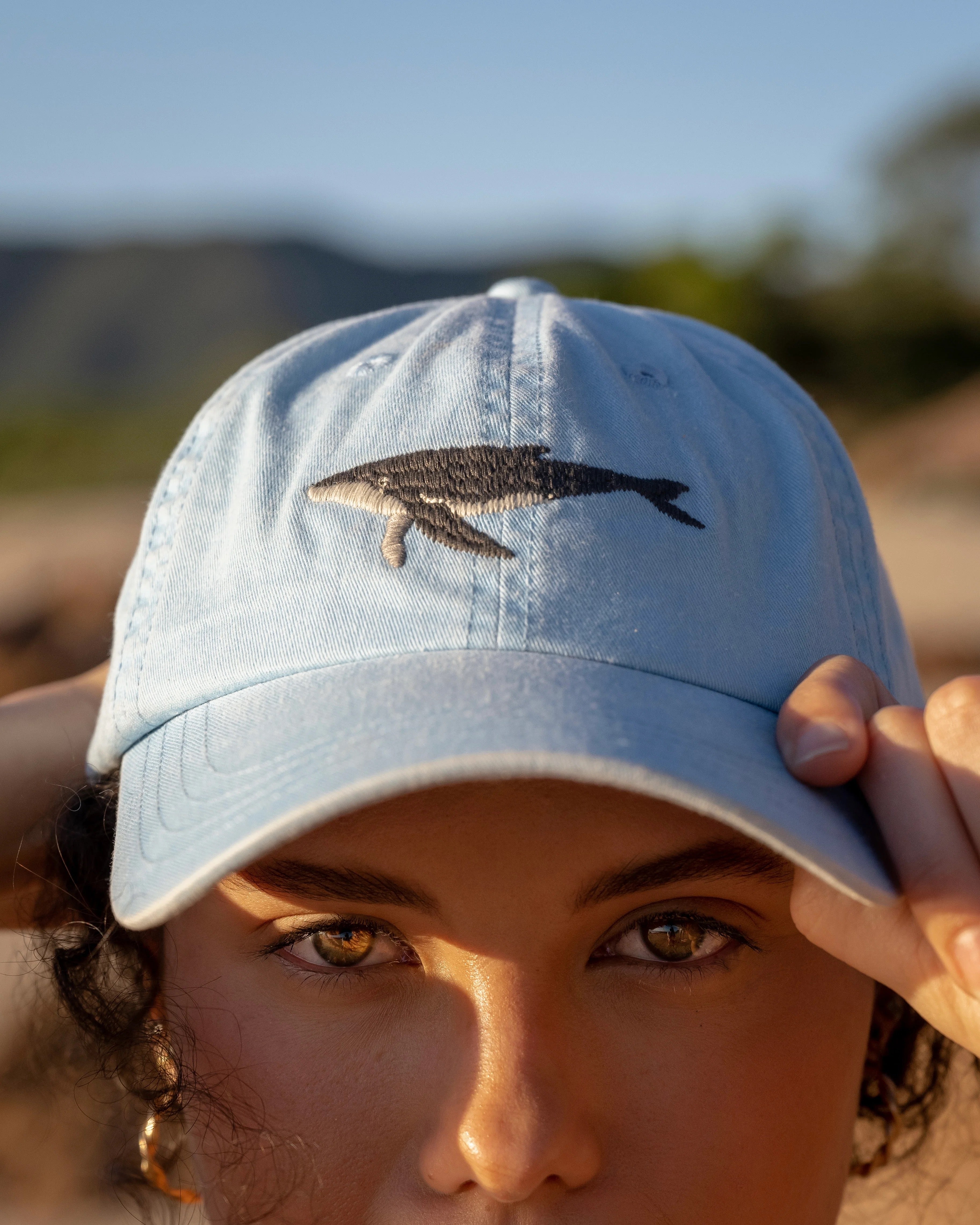 Humpback Whale Lid