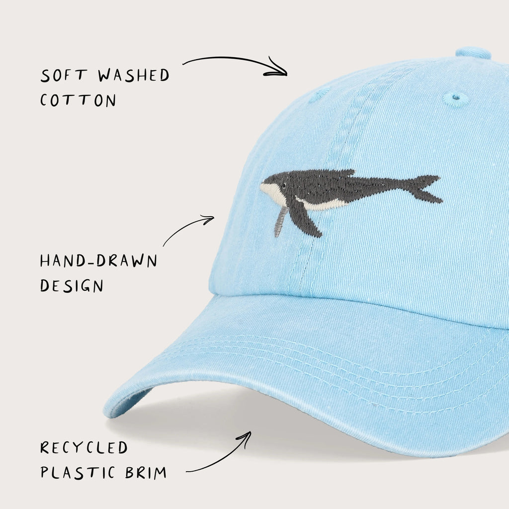 Humpback Whale Lid