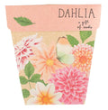 Dahlia