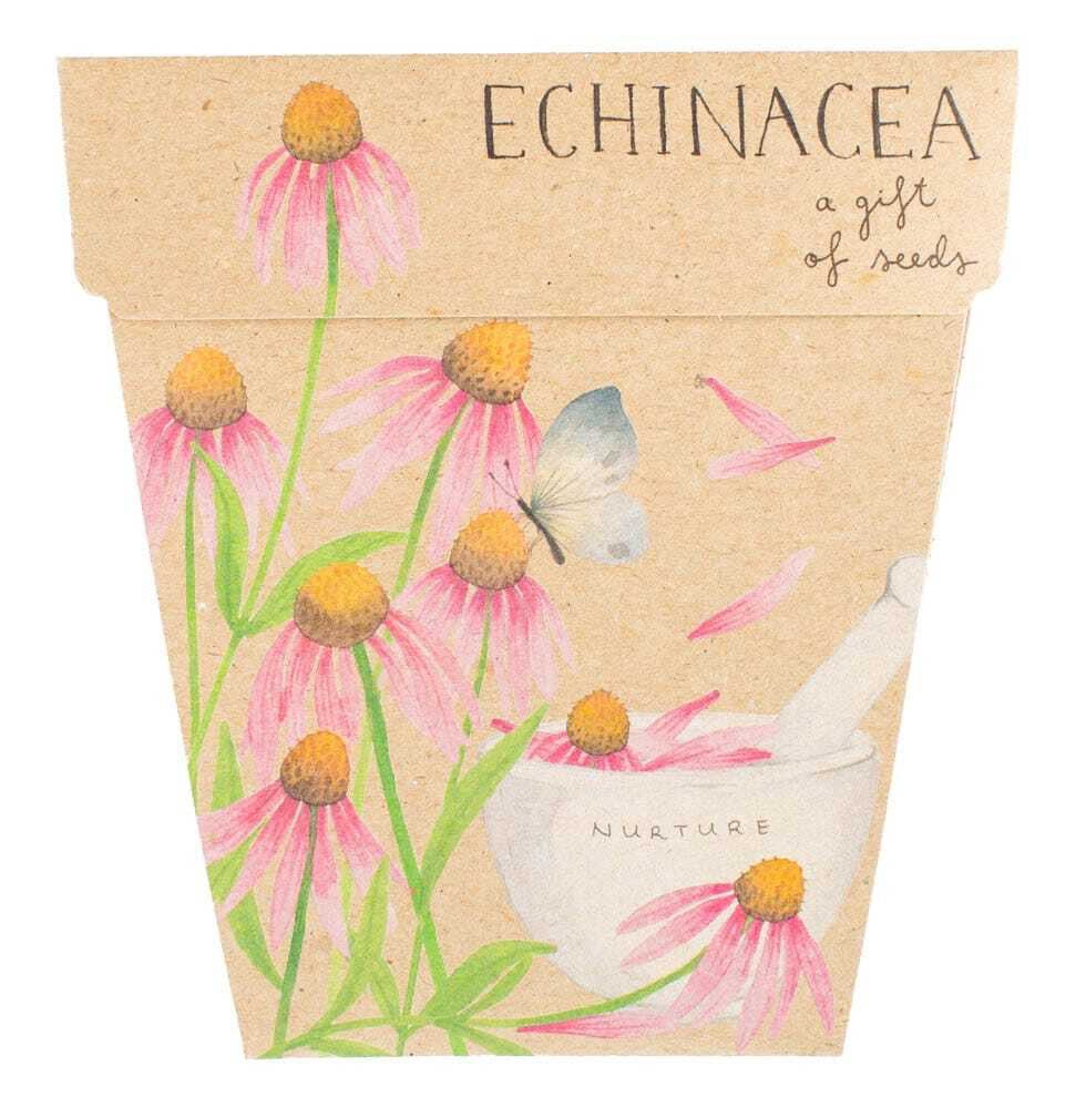 Echinacea