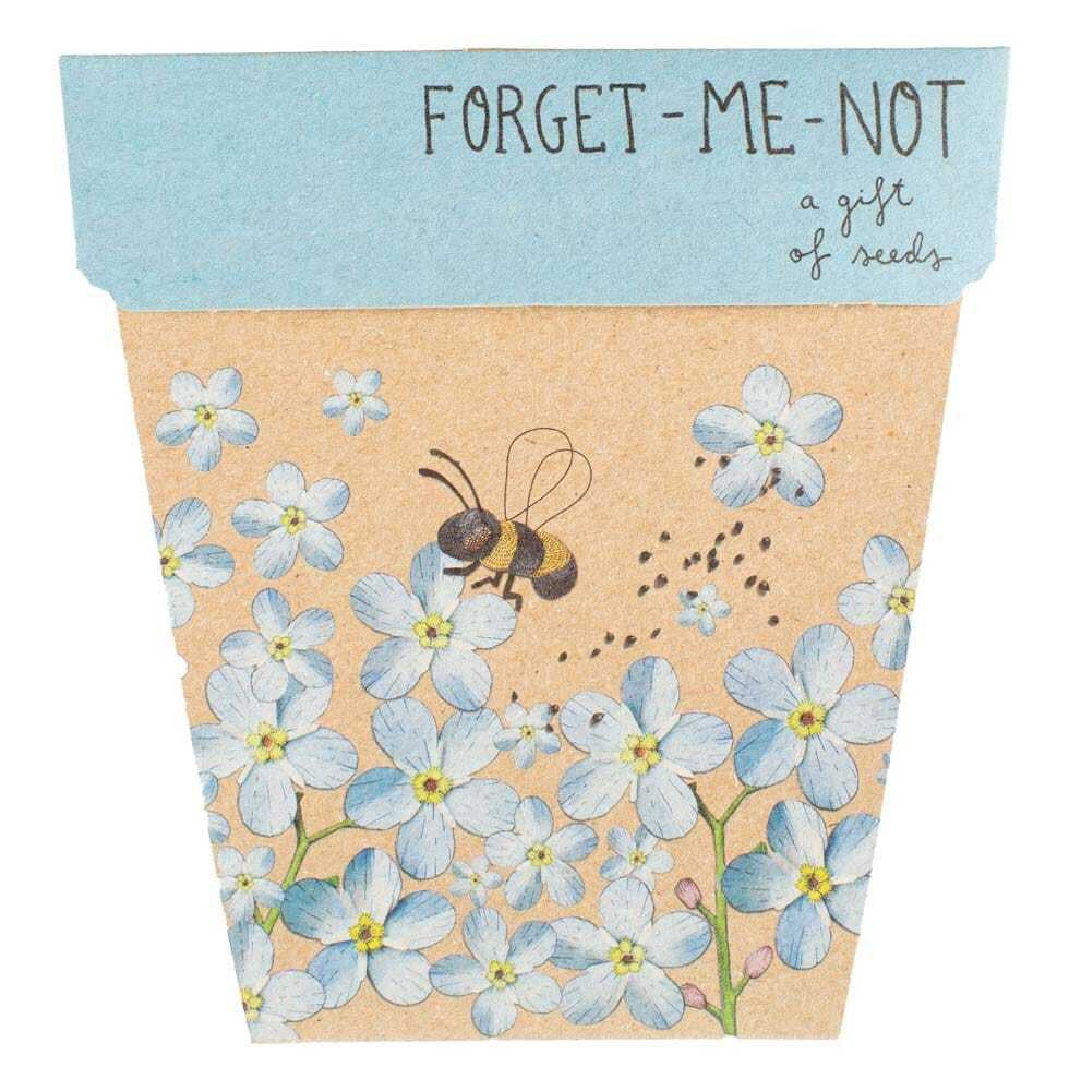 Forget-Me-Not