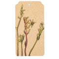 Gift Tag - Sow N Sow