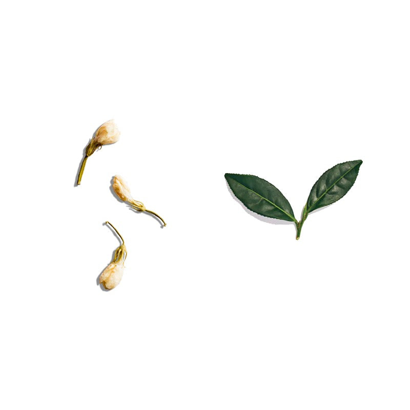Jasmine Green Tea 100g Loose Leaf Tea
