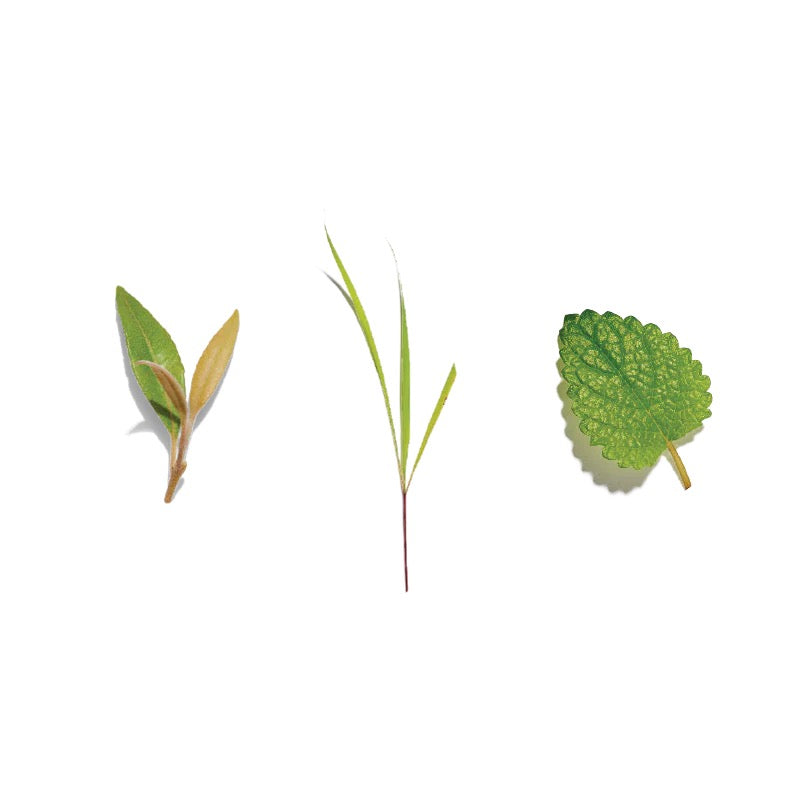 Lemongrass & Ginger Loose Leaf Tea