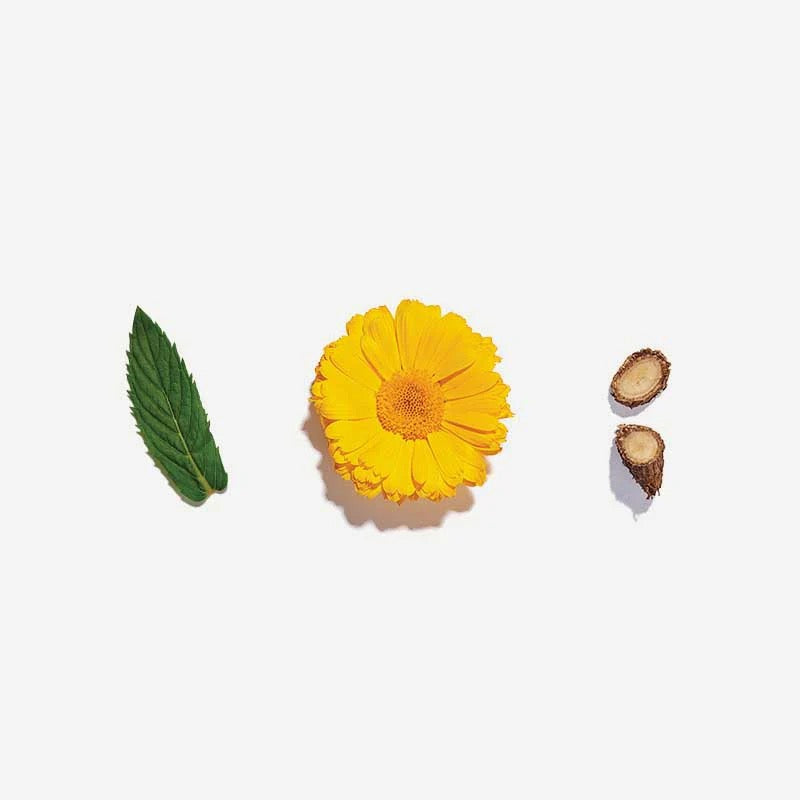 Skin Glow Loose Leaf Tea