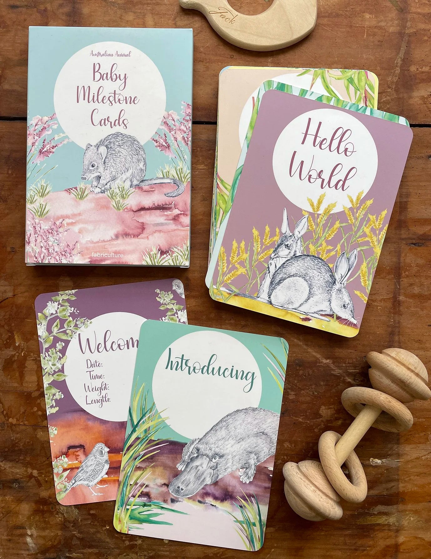 Baby Milestone Cards