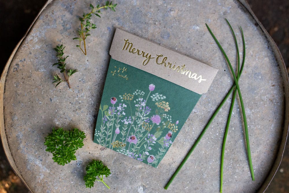 Christmas Herbs - Gift of Seeds