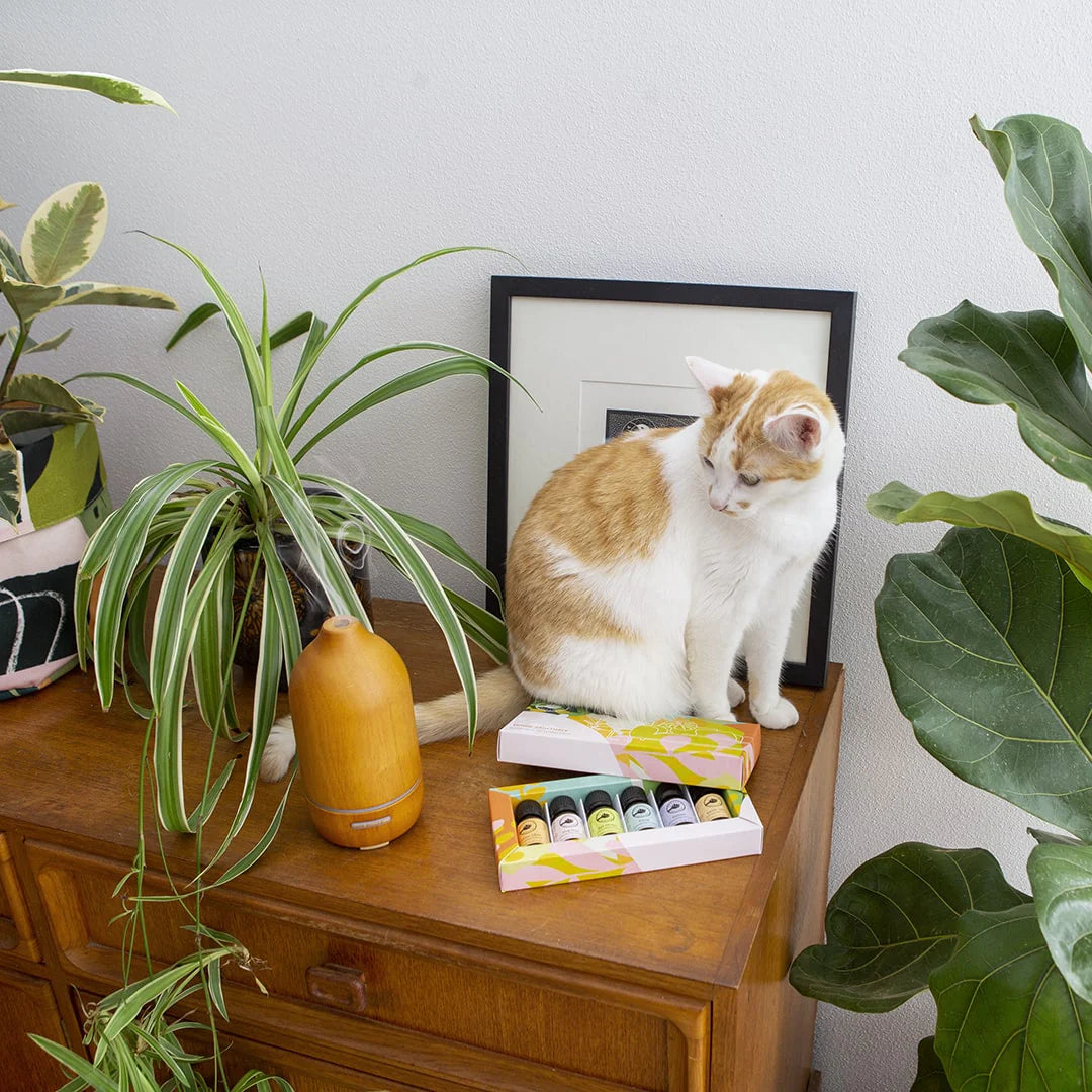 Wooden Aromatherapy Diffuser