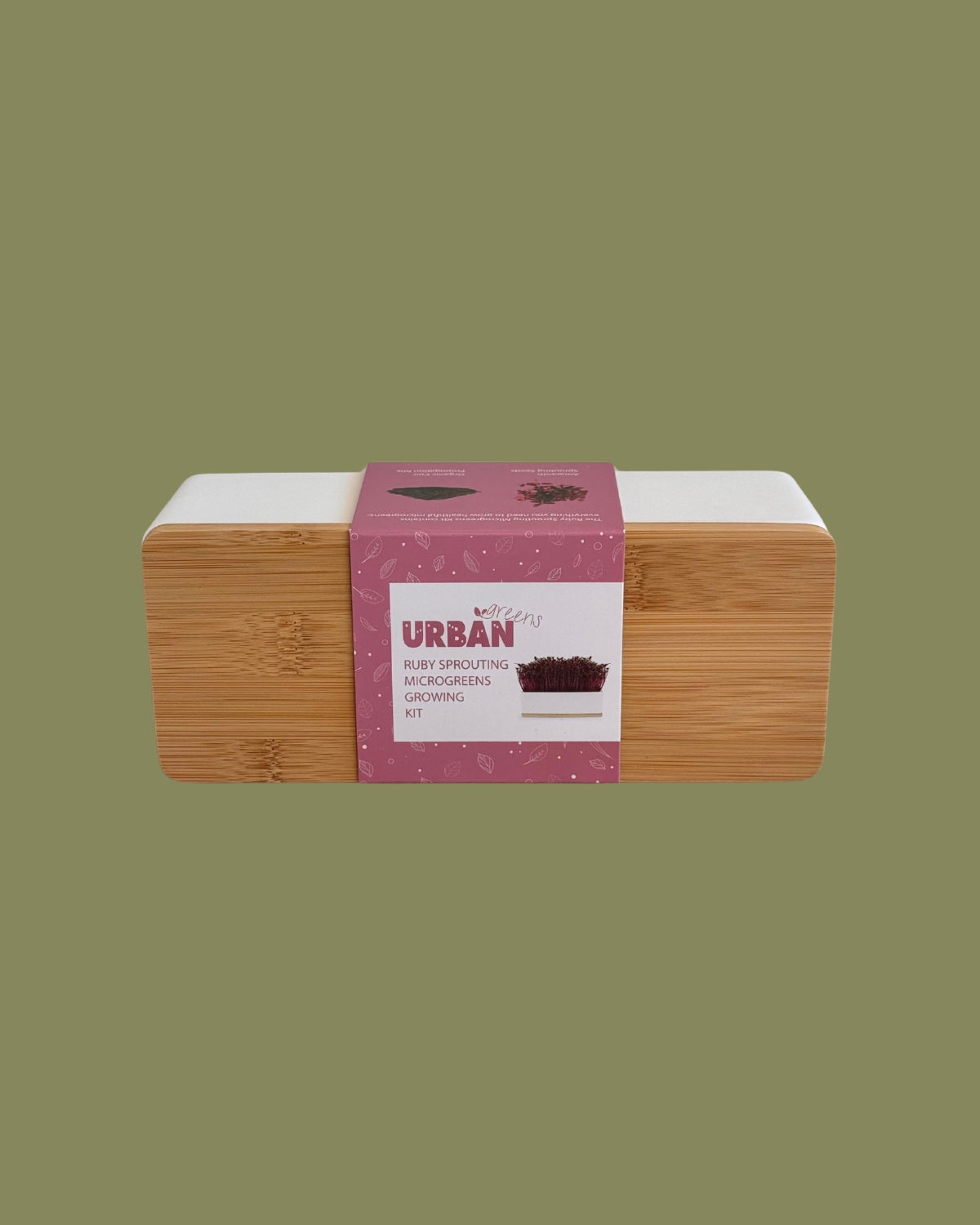 Windowsill Mini Garden - Ruby Sprouts