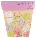 Sweet Pea Gift of Seeds