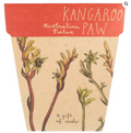 Kangaroo Paw Gift of Seeds