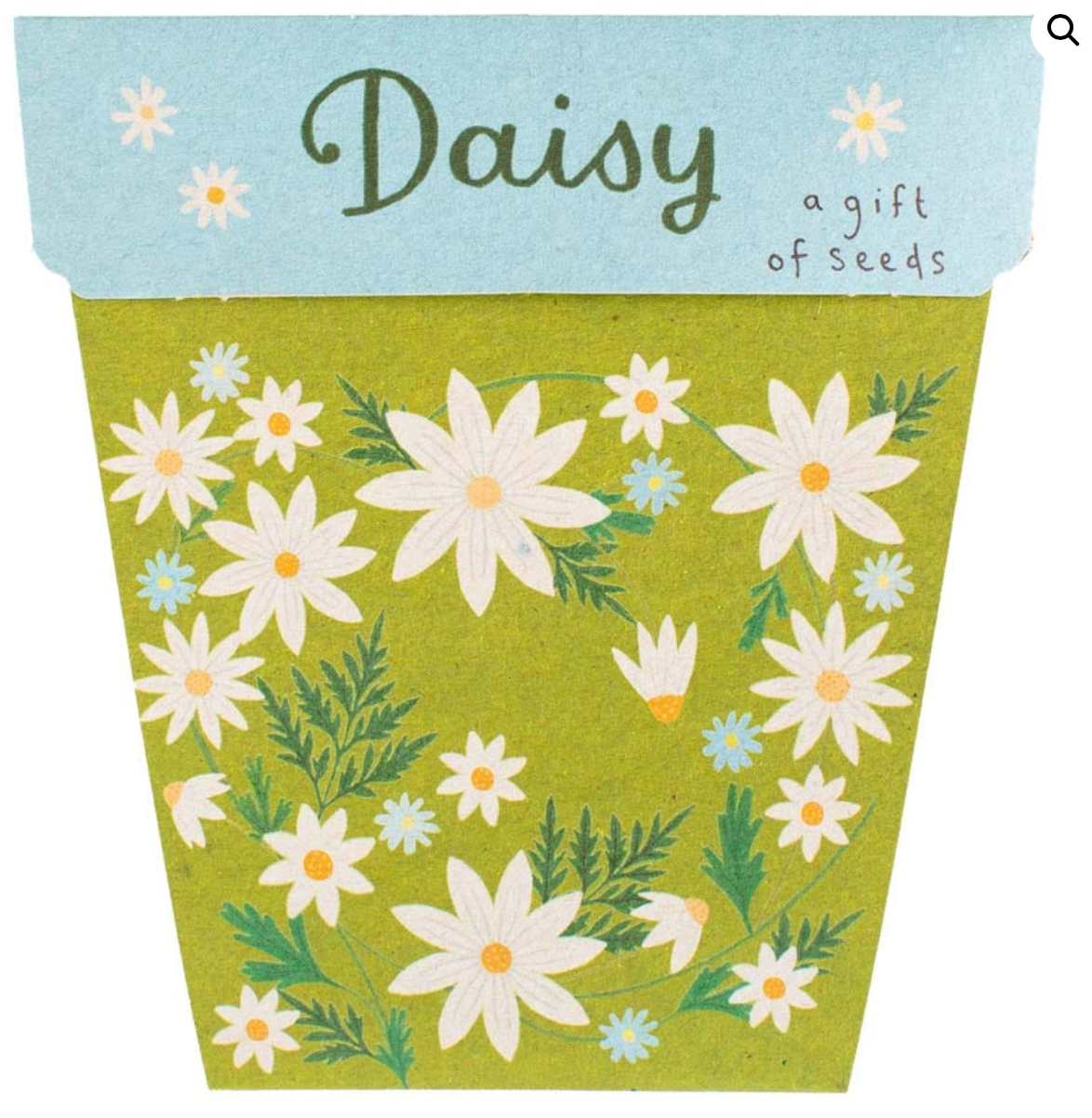 Daisy Gift of Seeds