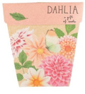 Dahlia Gift of Seeds