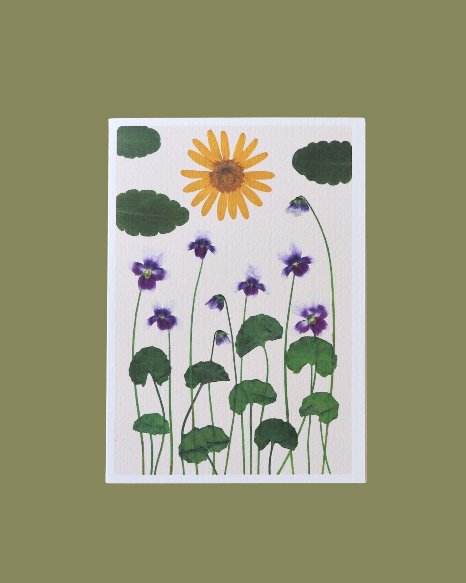 Viola & Daisy Pressed Flower Card