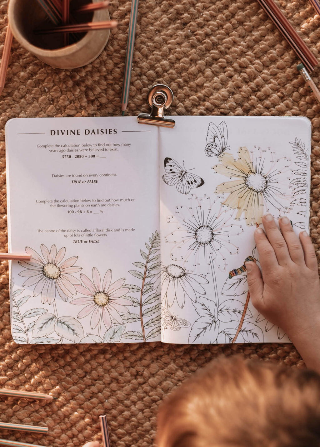 Wild Activity Book