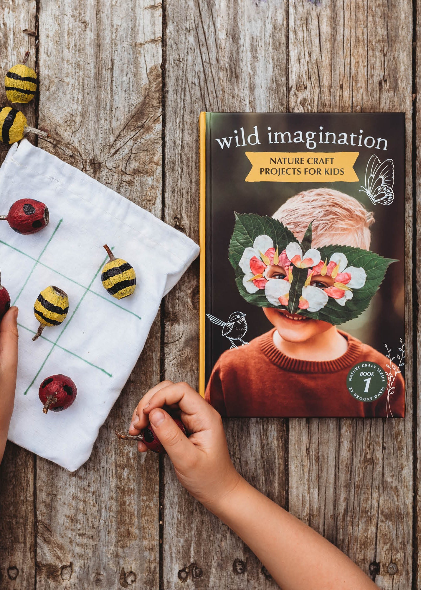 Wild Imagination Book