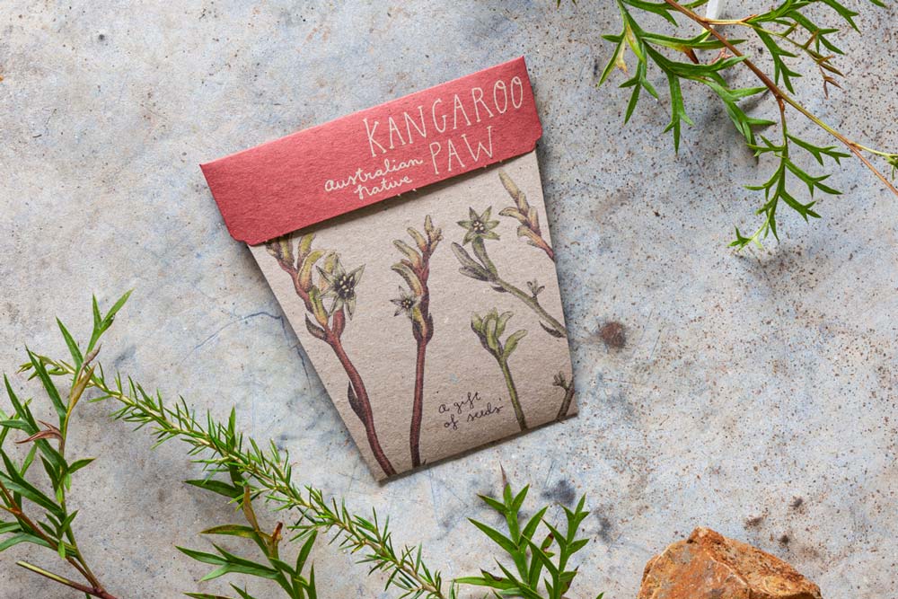 Kangaroo Paw - Gift of Seeds