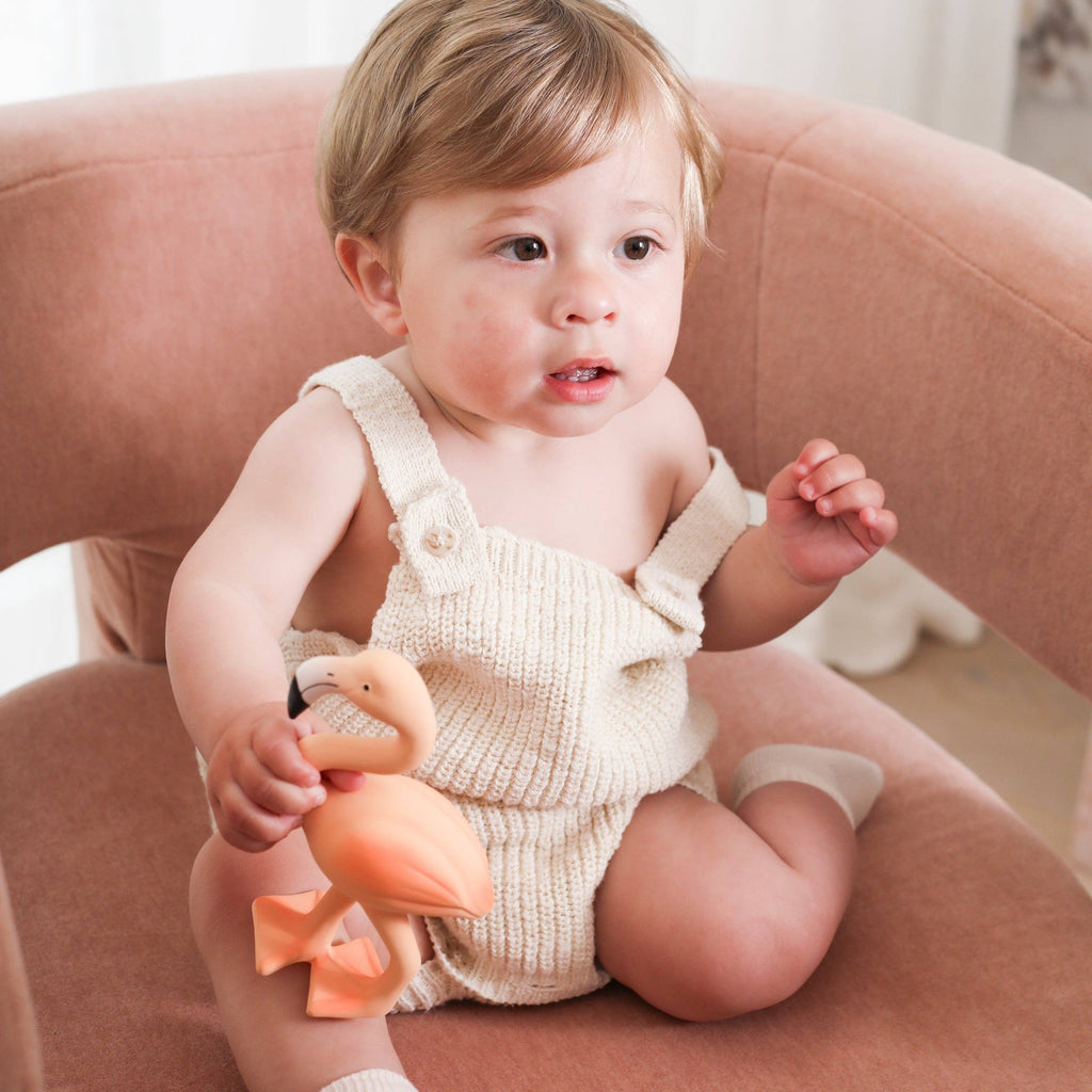 Lingo the Flamingo Teether & Bath Toy
