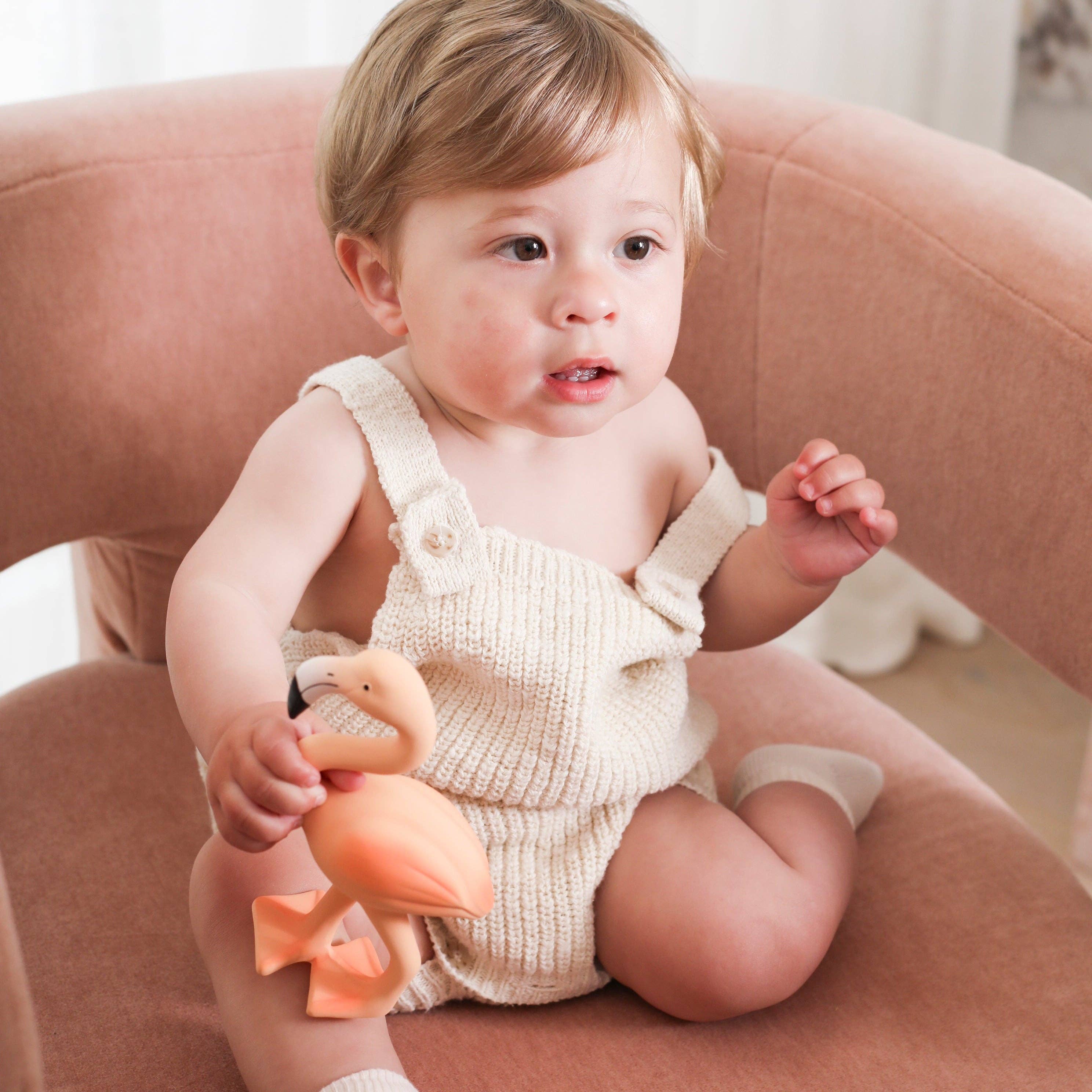 Lingo the Flamingo Teether & Bath Toy