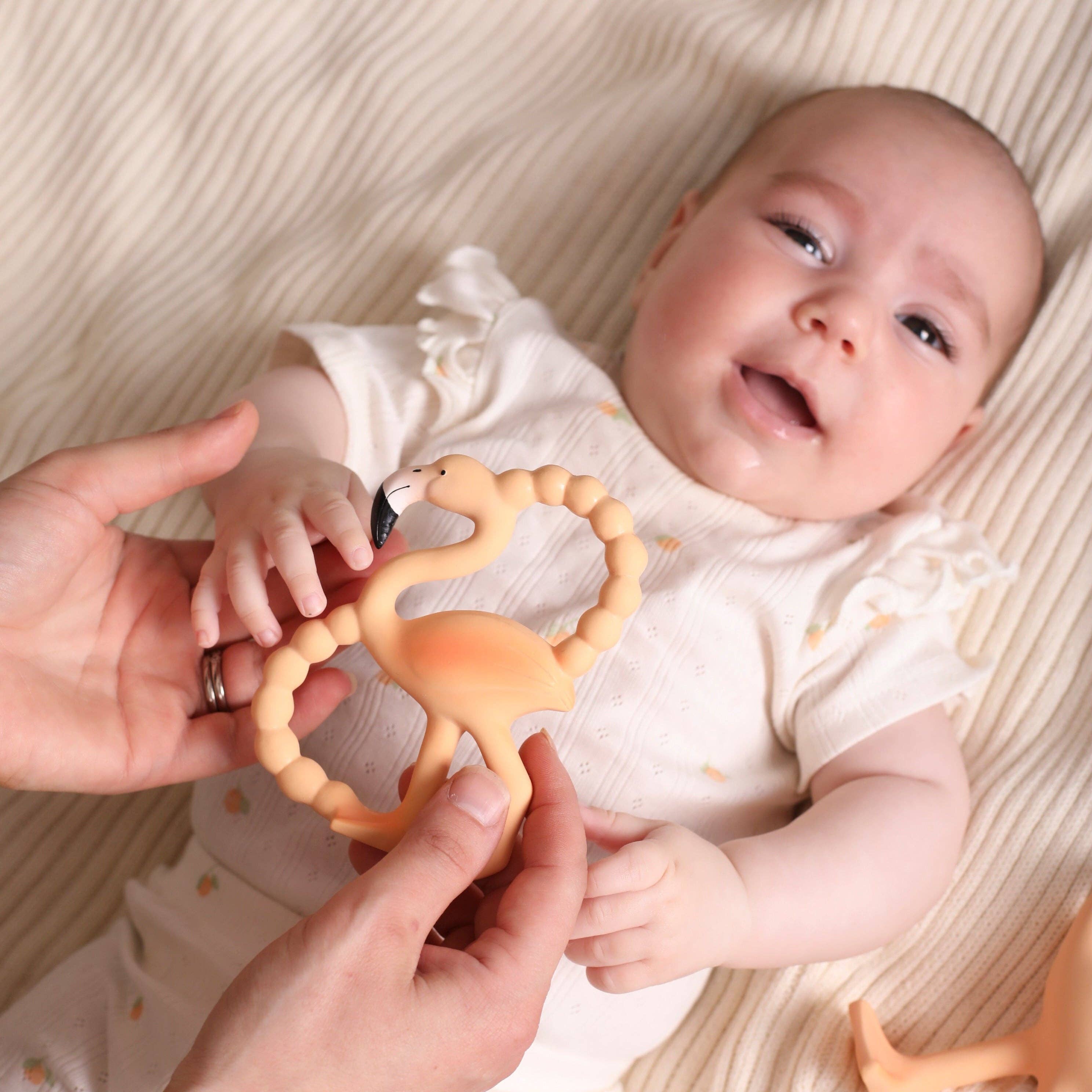 Lingo Mini Teether & Bath Toy
