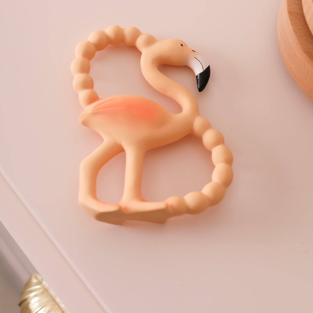 Lingo Mini Teether & Bath Toy
