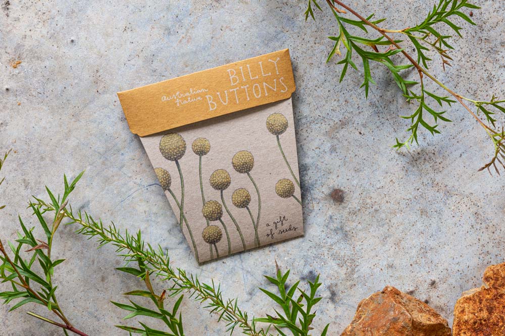 Billy Buttons