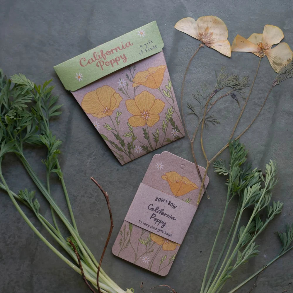 Trio Of Herbs
