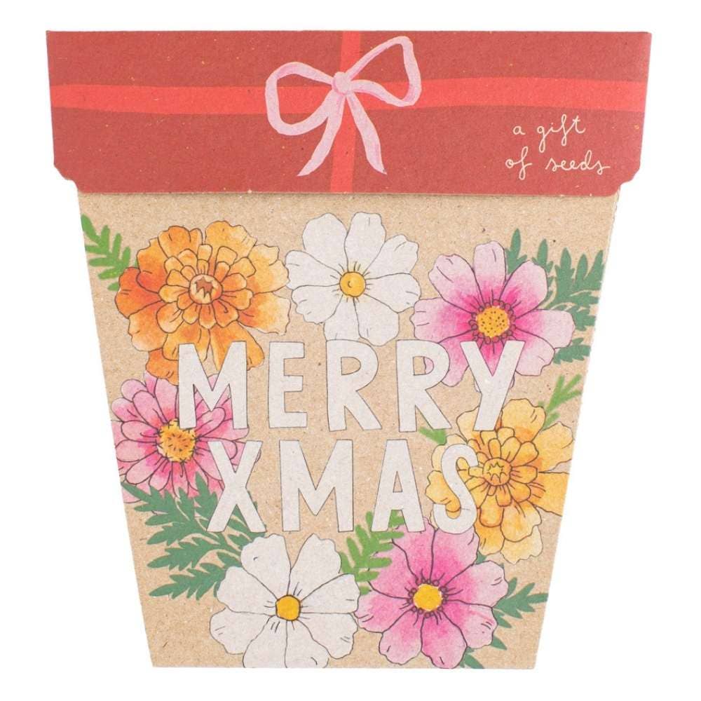 Xmas Blooms - Gift of Seeds