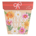 Xmas Blooms - Gift of Seeds