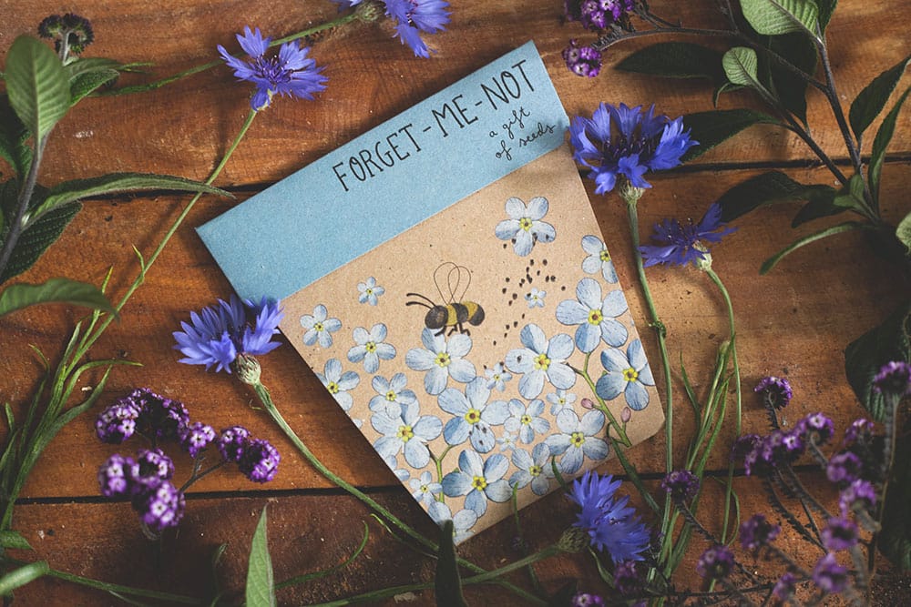 Forget Me Not - Gift of Seeds